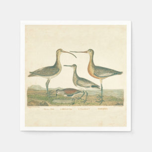 Marsh Bird Curlew Snipe Birding Pappersservett