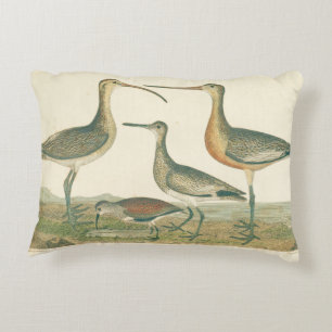 Marsh Bird Curlew Snipe Birding Prydnadskudde