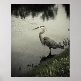Marsh Bird on the Shore Poster