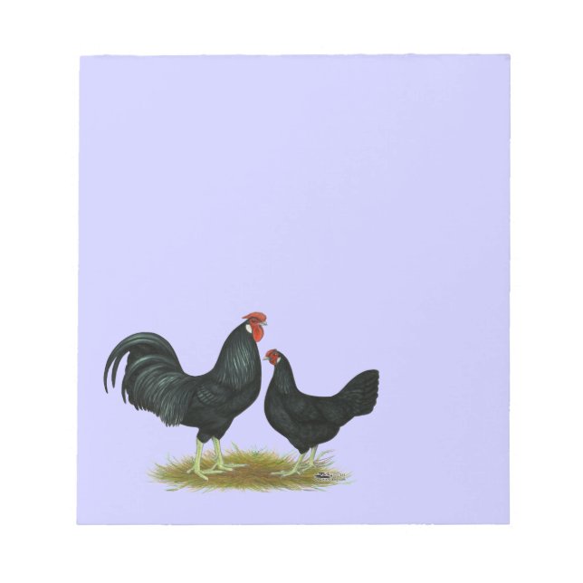 Marsh Daisy Chickens Anteckningsblock (Framsida)