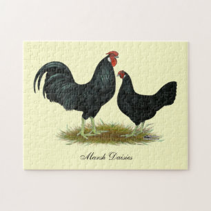 Marsh Daisy Chickens Pussel