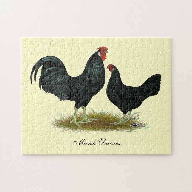 Marsh Daisy Chickens Pussel (Horisontell)