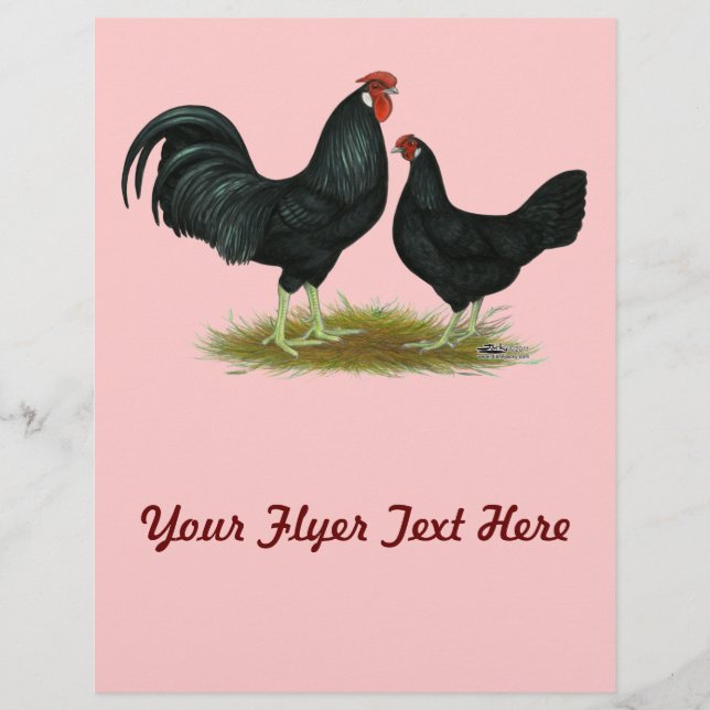 Marsh Daisy Chickens Reklamblad (Framsidan)