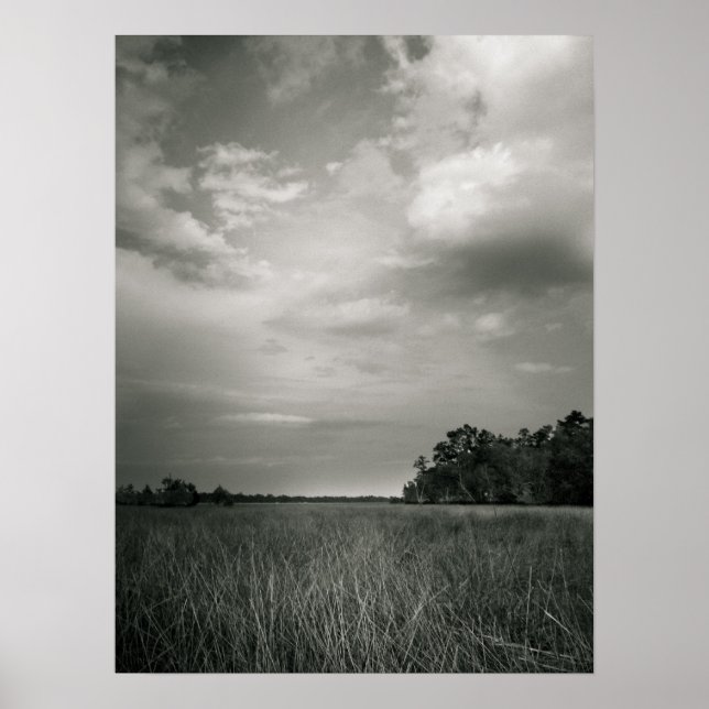 Marsh Grasses Poster (Framsidan)