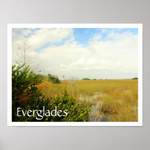 Marsh in Everglades nationalpark, Florida Poster