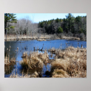 Marsh in Vår Orton Art Nature Poster