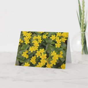 Marsh Marigold in Bloom Kort