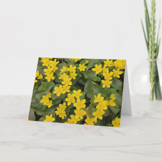 Marsh Marigold in Bloom Kort