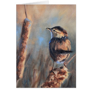 Marsh Wren Fine Art Greeting Card OBS Kort