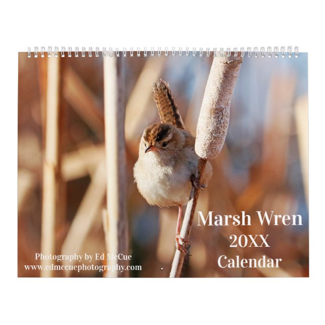 Marsh Wren Kalender (Omslag)