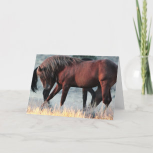 Marshal of the Band Stallion Greeting Card Kort