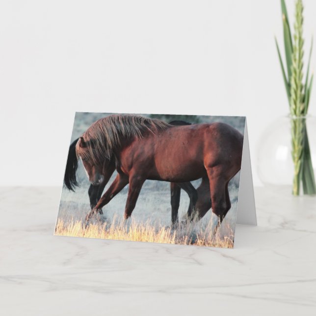 Marshal of the Band Stallion Greeting Card Kort (Framsida)