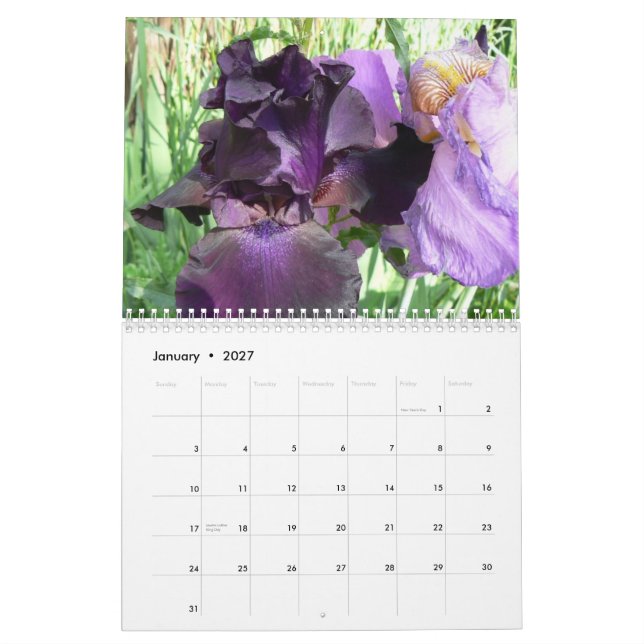 Marshas fantastiska Irises Cale 2008… Kalender (Jan 2027)