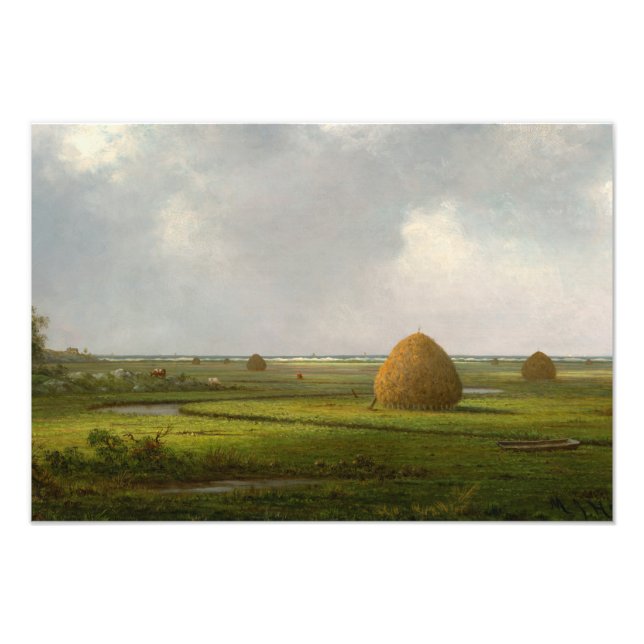 Marshfield, 1876 av Martin Johnson Heade Fototryck (Framsidan)