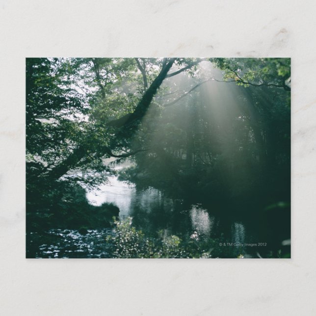 Marshland 3 vykort (Framsida)