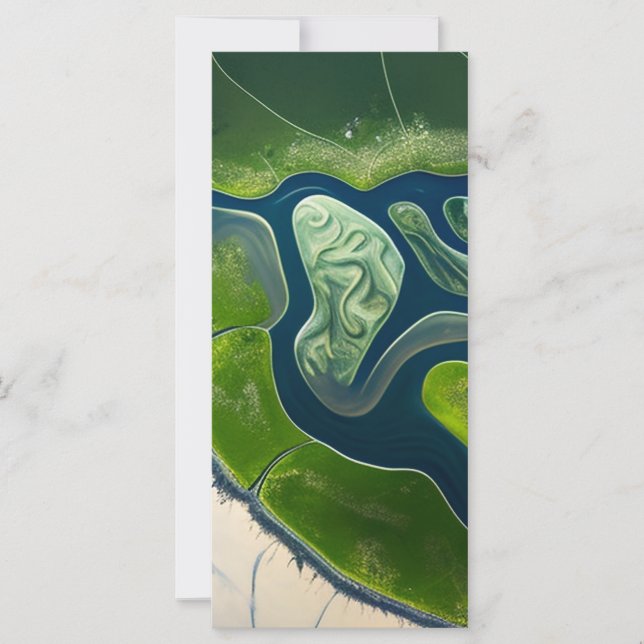 Marshland Elegance (Framsida)