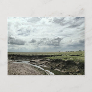 Marshland Vykort