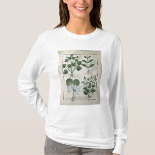 Marshmallow & Hastula Regia Asarabacca & T-shirt
