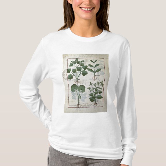 Marshmallow & Hastula Regia Asarabacca & T-shirt (Framsida)