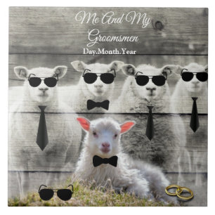 Marskalkar Får Flock Baby Lamb Kakelplatta