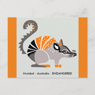 Marsupial - NUMBAT- Natur -Vilda djur - Vykort