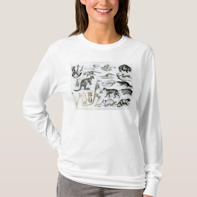 Marsupialia Monetremata, Edentata Tee Shirt (Framsida)
