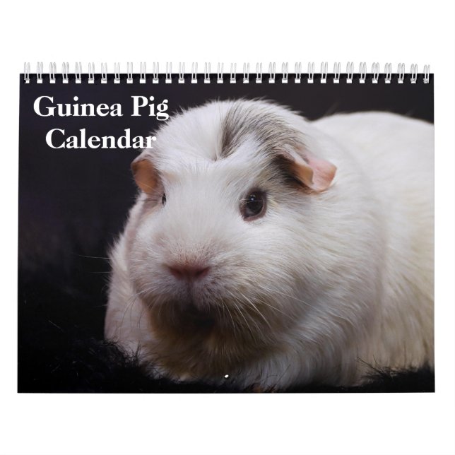 Marsvin 2027 kalender (Omslag)