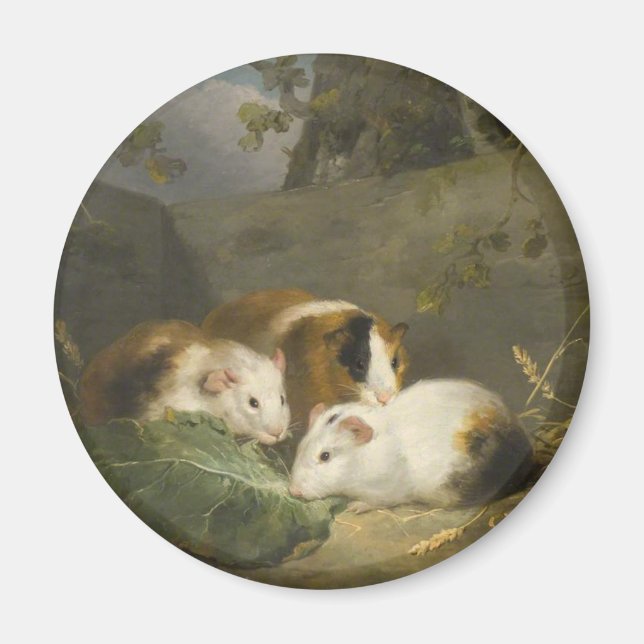 Marsvin (av George Morland) Magnet (Framsidan)