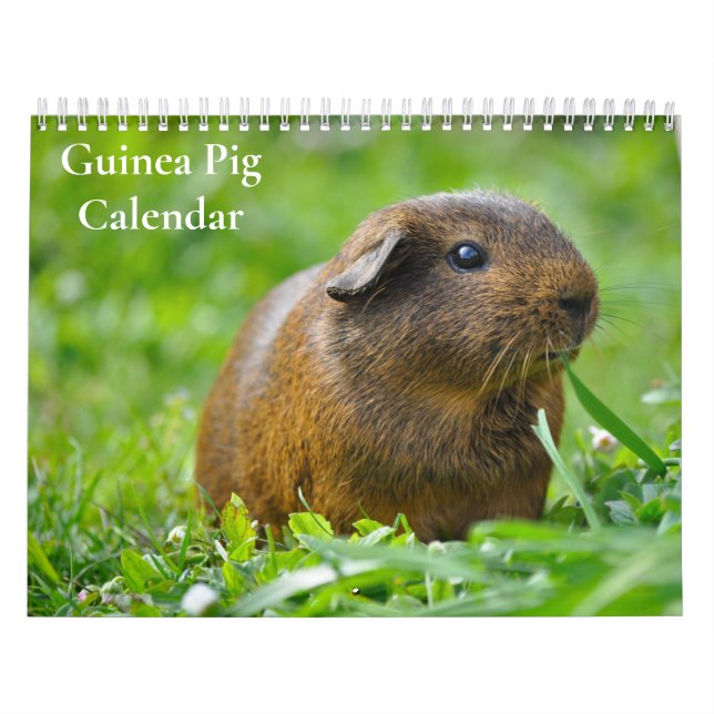 Marsvin Kalender 2027 (Omslag)