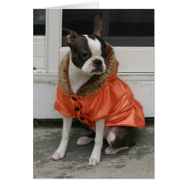 Martha jackar vintern hälsningskort (Framsidan)