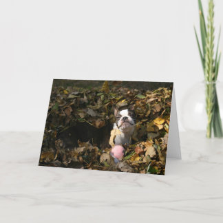 Martha nedgång kort