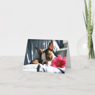 Martha och Gerber Daisy Kort