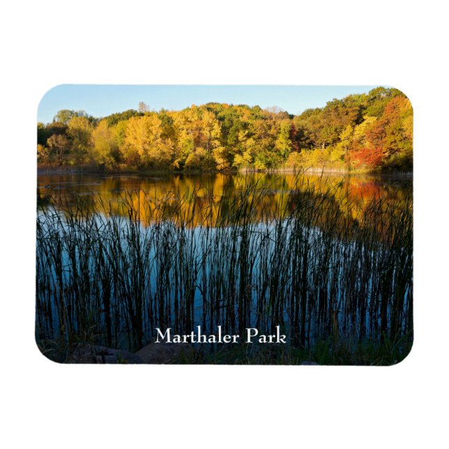 Marthaler Park - höstreflektioner Magnet (Horisontell)