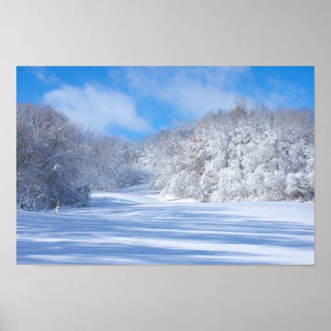 Marthaler Park Snöiga kullar Poster (Framsidan)