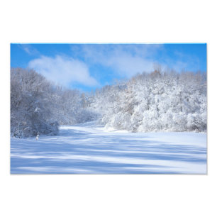 Marthaler Park Snowy Backe Fototryck