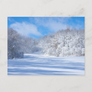 Marthaler Park Snowy Backe Vykort