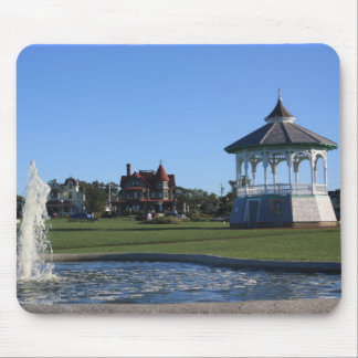 Marthas vingårdmusen vadderar musmatta