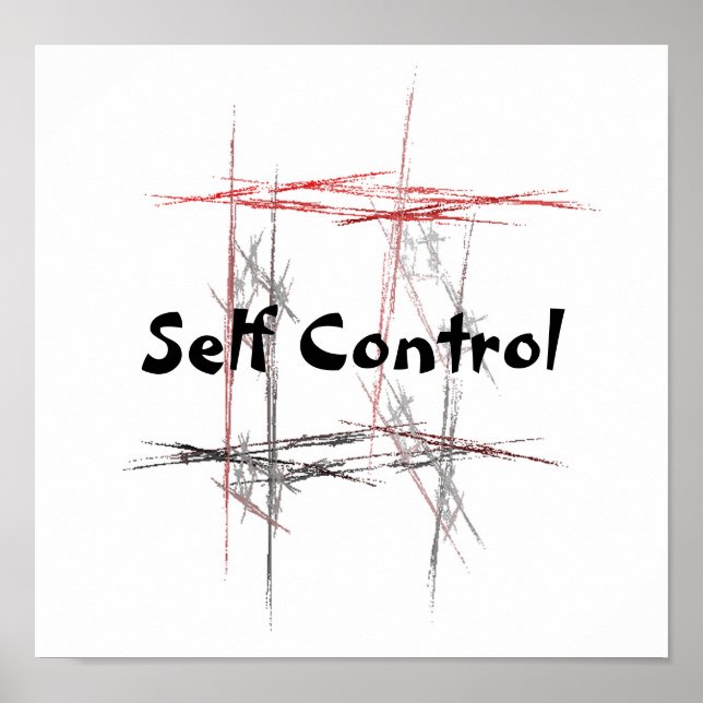 Martial Arts Taekwondo Tenets Self Control Poster (Framsidan)