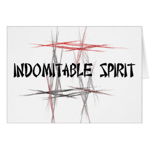Martial Arts Tenets Indomitable Spirit OBS Kort