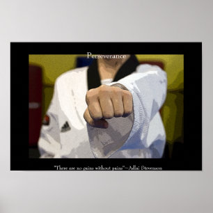 Martialkonst Mitten Slår Poster