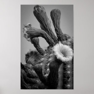 Martian blom poster