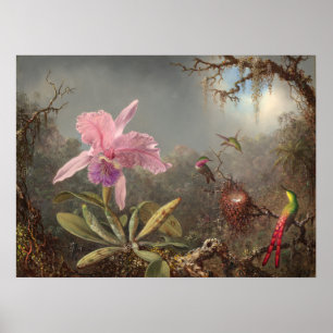 Martin Heade Fine Art Poster
