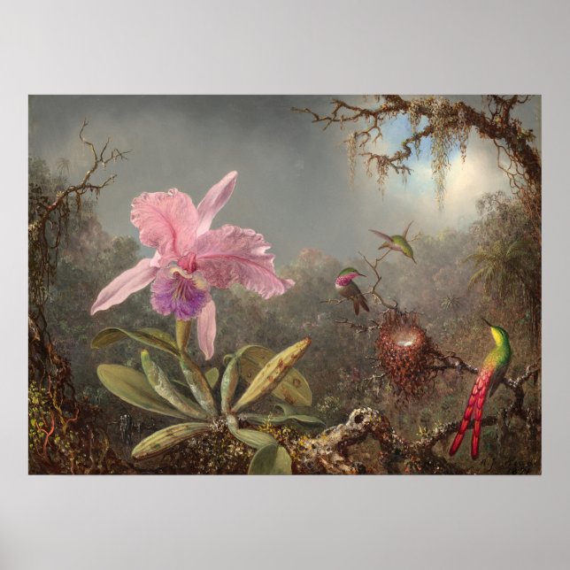Martin Heade Fine Art Poster (Framsidan)