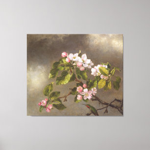 MARTIN J. HEADE - Hummingbird and Apple Blommars - Canvastryck