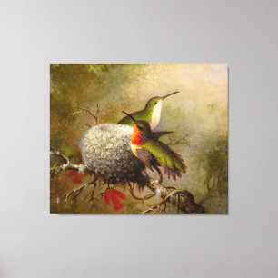 MARTIN J. HEADE - Två ruby Throats by their Nest - Canvastryck