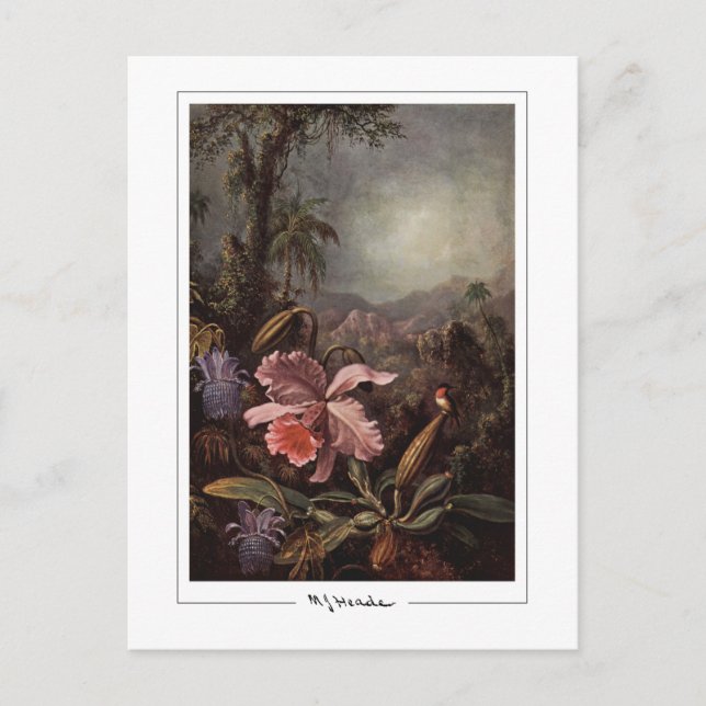 Martin Johnson Heade #202 - Finkonstkort Vykort (Framsida)