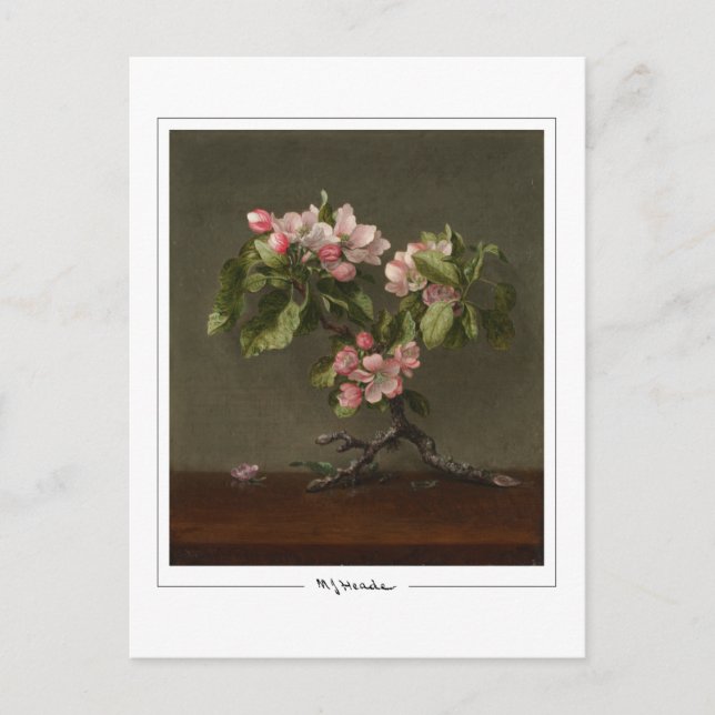Martin Johnson Heade #26 - Finkonstkort Vykort (Framsida)