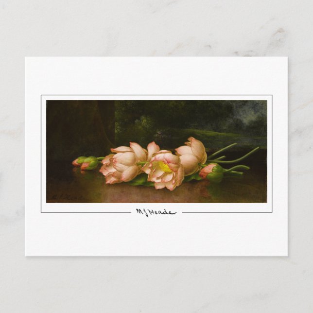 Martin Johnson Heade #34 - Finkonstkort Vykort (Framsida)