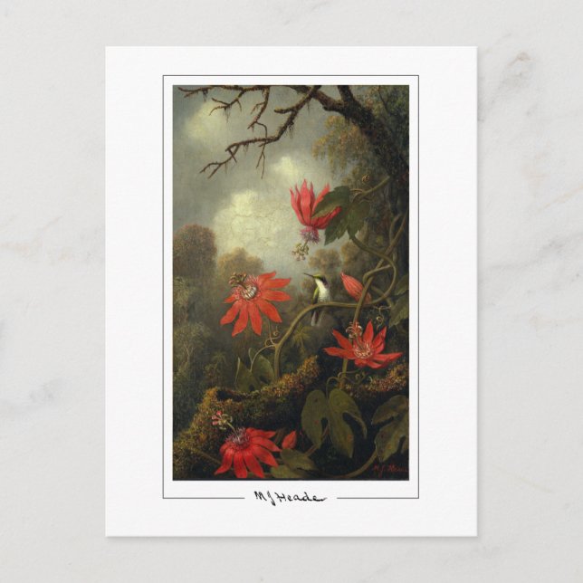Martin Johnson Heade #36 - Finkonstkort Vykort (Framsida)