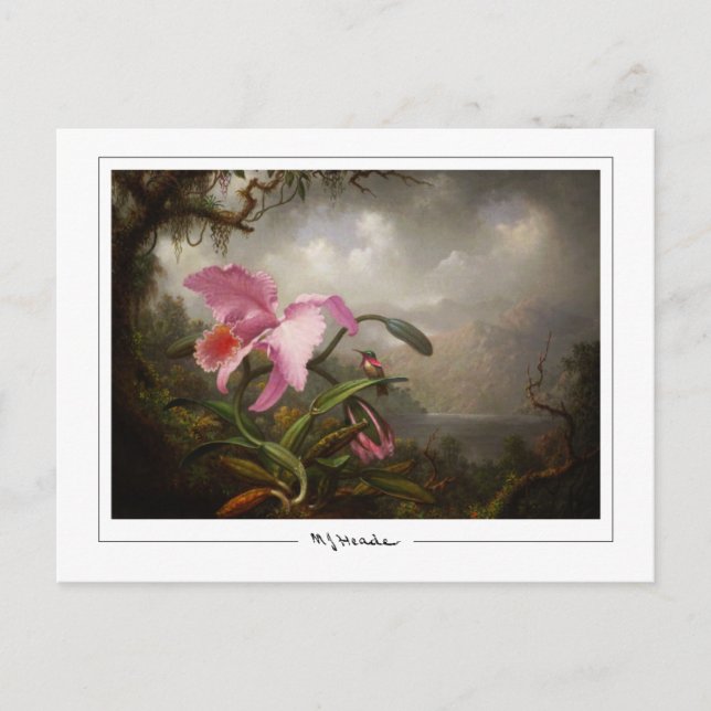 Martin Johnson Heade #45 - Finkonstkort Vykort (Framsida)